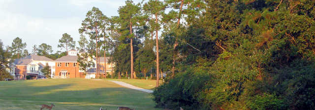 Diamondhead CC - Cardinal: #6