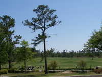 Diamondhead CC: driving range