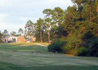 Diamondhead CC - Cardinal: #6