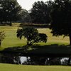 A view from Sunkist Country Club